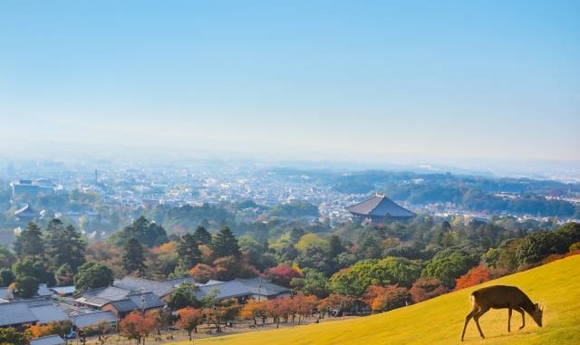 奈良の観光スポット33選：おすすめ・人気の観光地／名所を紹介