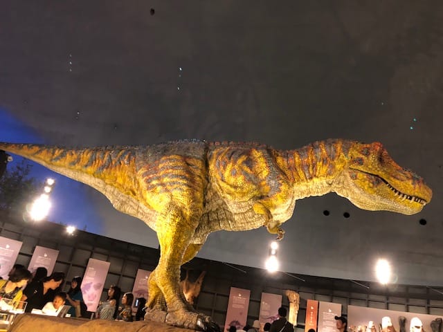 恐竜博物館 ティラノサウルス