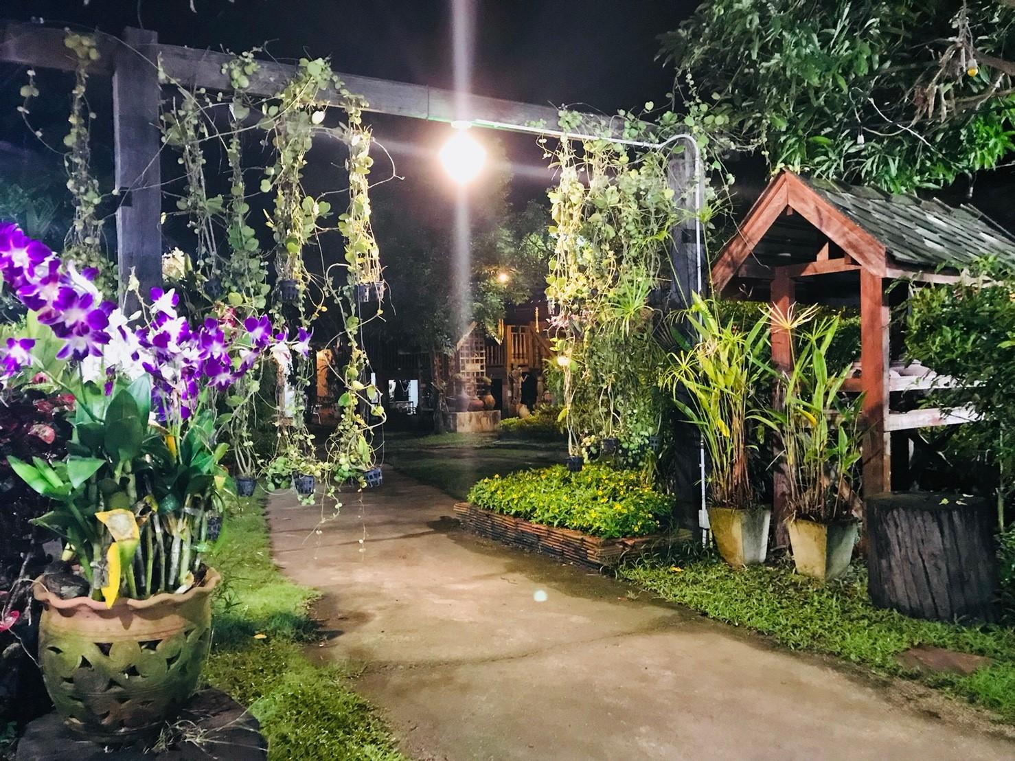 チェンマイの料理教室:夜になるとこんなに綺麗に!!!インスタ映え♡