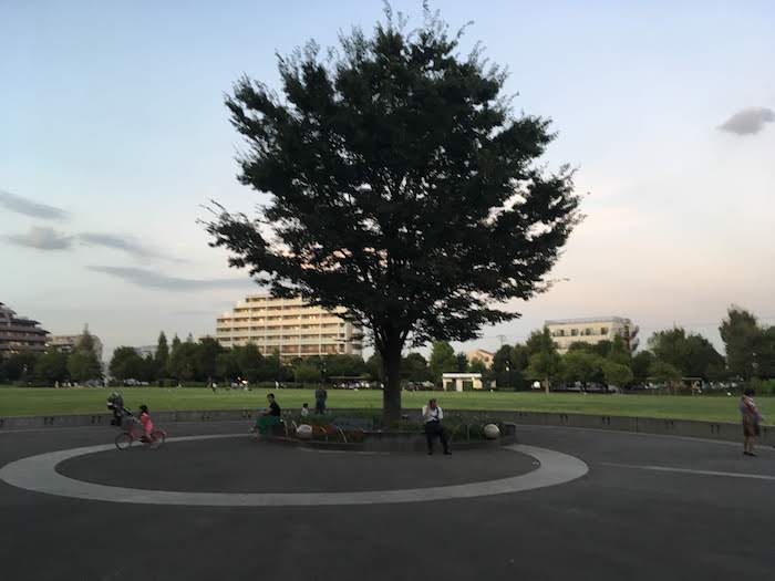 桃井原っぱ公園： 広大な芝生広場の公園／草木・花を見ながら散歩、水遊びにもおすすめ