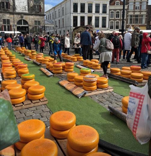 オランダ・ゴーダチーズ市場