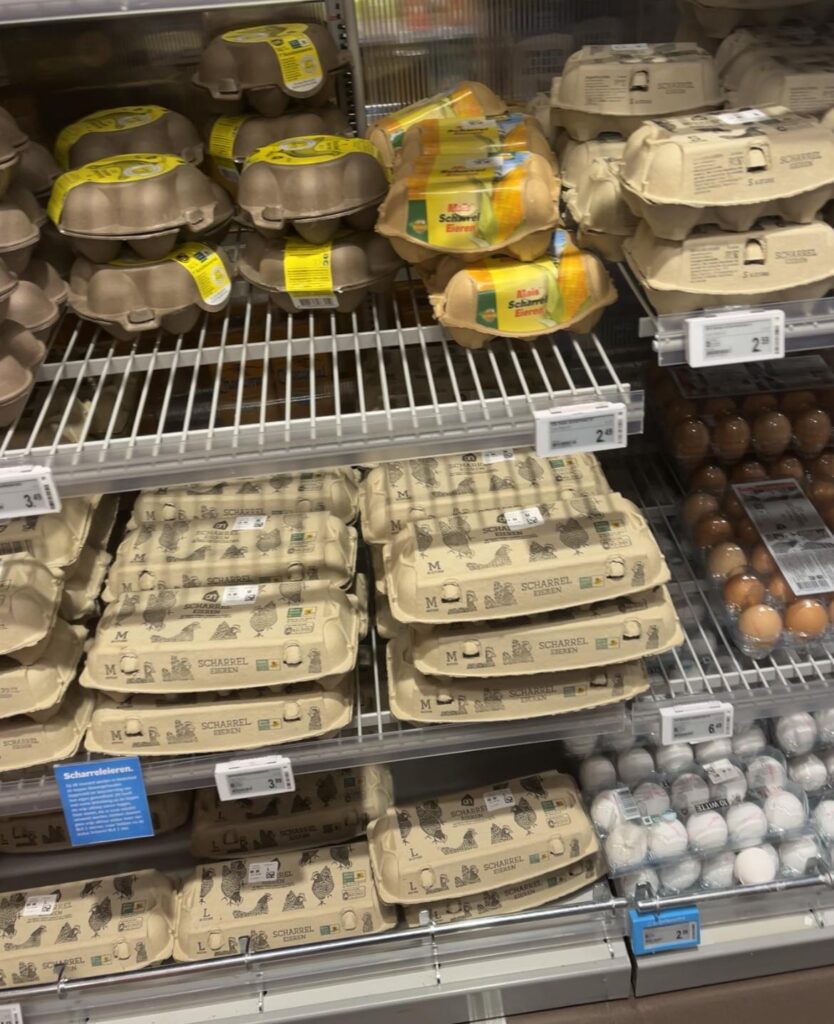 オランダの卵