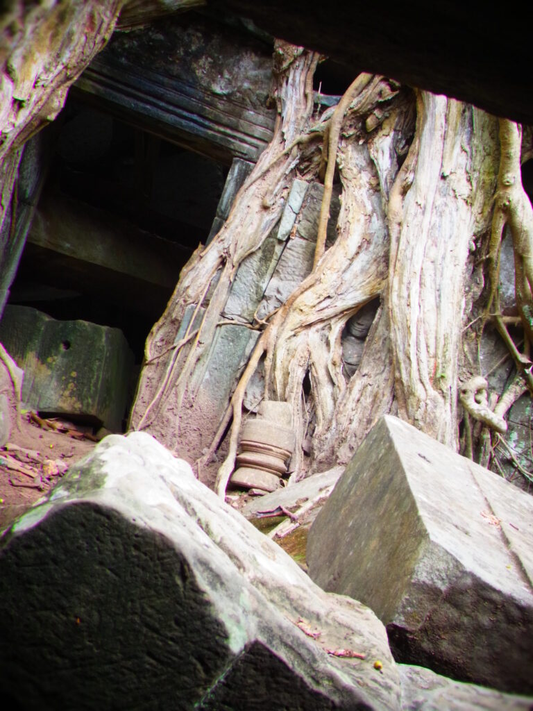 タ・プローム遺跡・ガジュマルの根からのぞく、デヴァター像