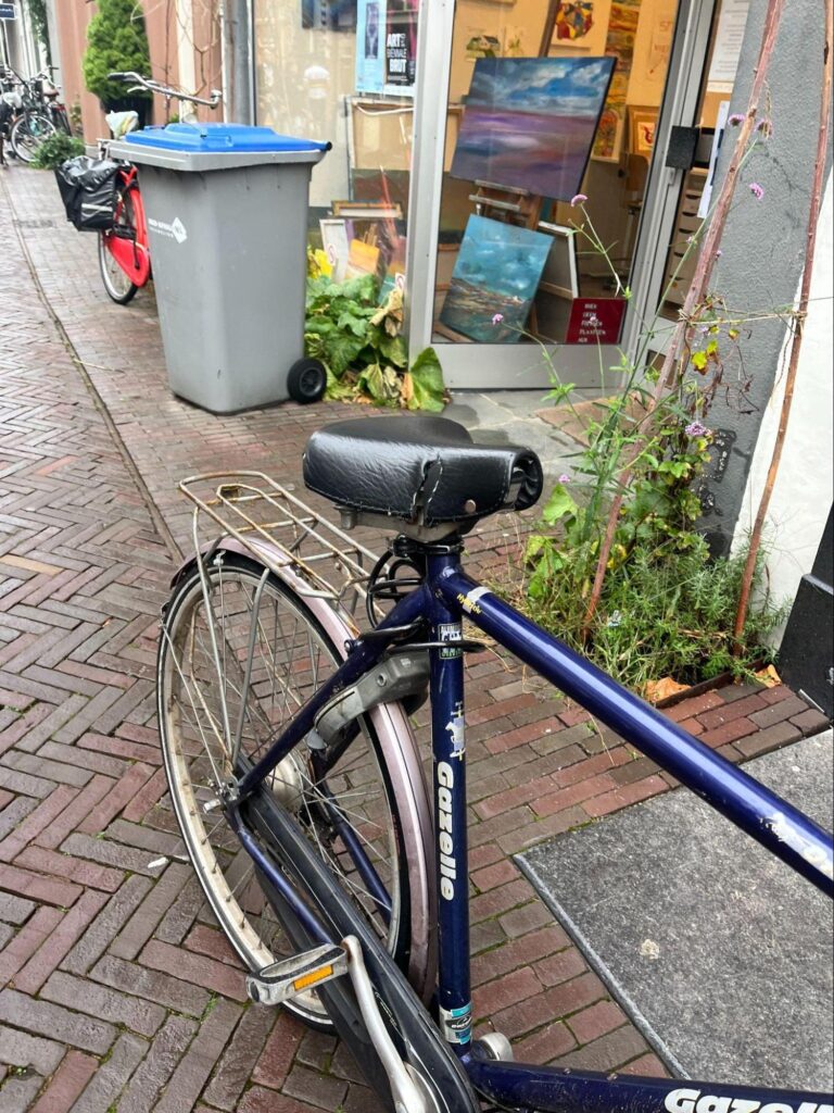 オランダの自転車のケーブルロックの鍵