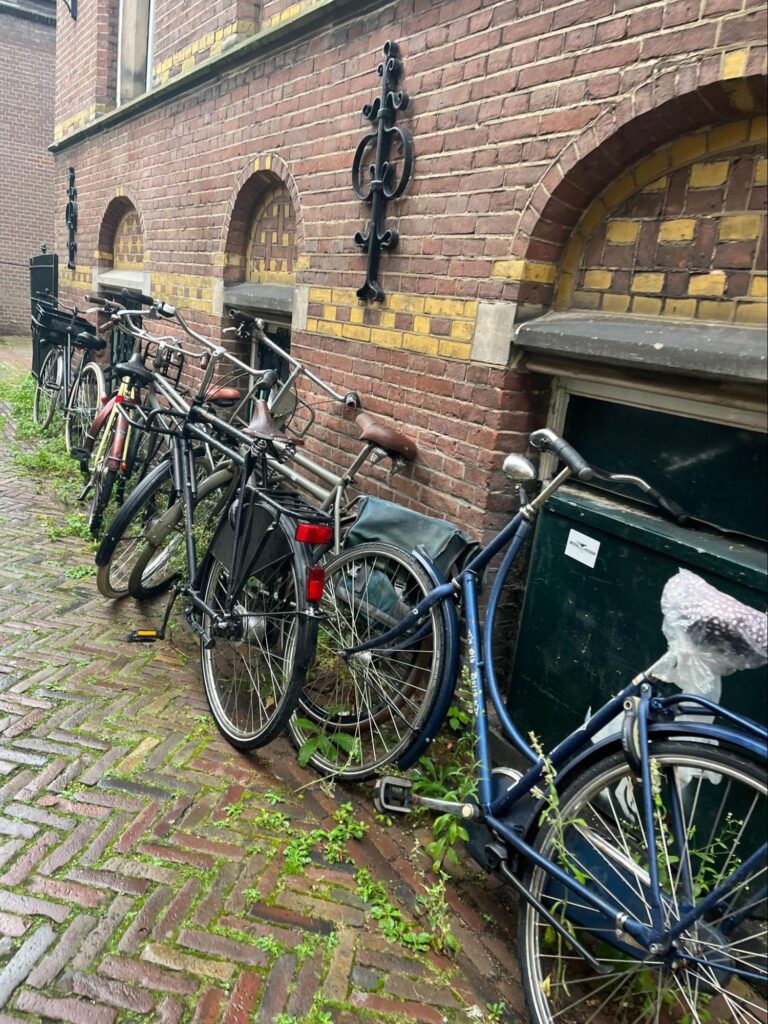 オランダの自転車盗難