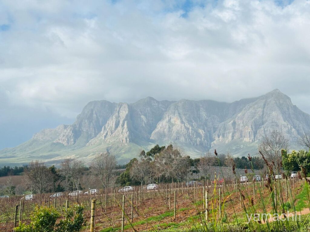 南アフリカワインの名産地「ワイン・ランド」