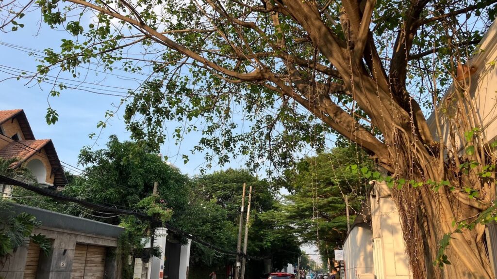 街歩きの途中で撮ったタオディエンエリアの様子